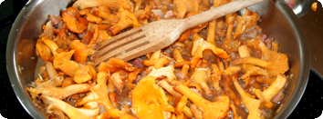 Konserwowanie grzybów