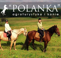 Gospodarstwo Agroturystyczne POLANKA
